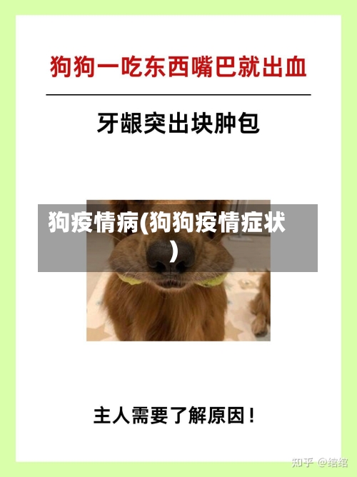 狗疫情病(狗狗疫情症状)-第3张图片