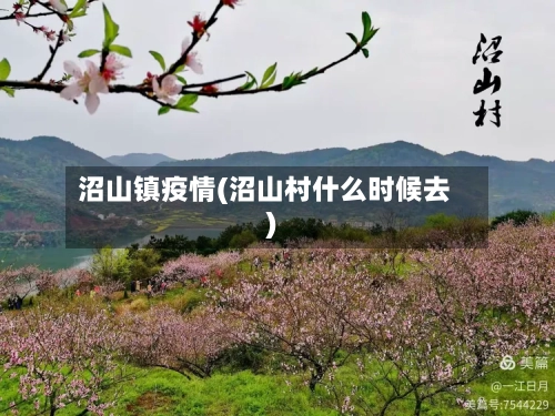 沼山镇疫情(沼山村什么时候去)-第2张图片