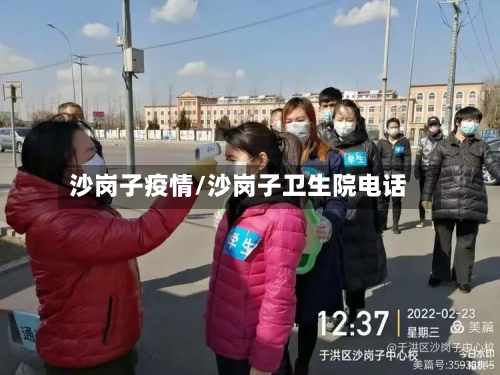 沙岗子疫情/沙岗子卫生院电话-第2张图片