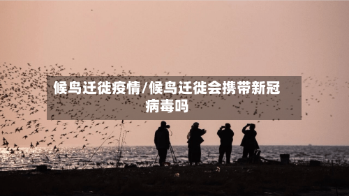 候鸟迁徙疫情/候鸟迁徙会携带新冠病毒吗-第2张图片