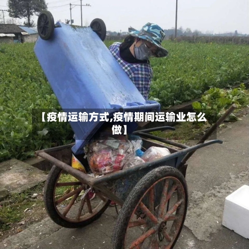 【疫情运输方式,疫情期间运输业怎么做】-第2张图片