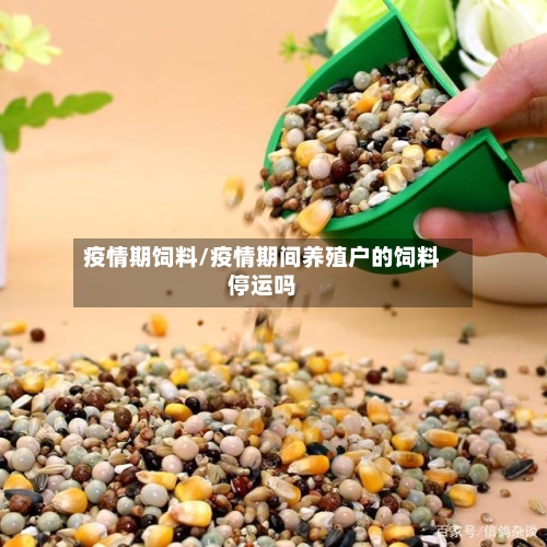疫情期饲料/疫情期间养殖户的饲料停运吗-第2张图片