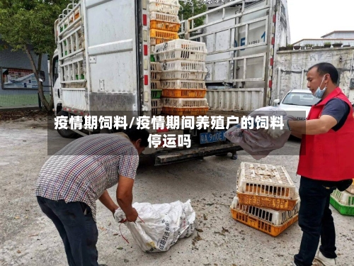 疫情期饲料/疫情期间养殖户的饲料停运吗-第3张图片