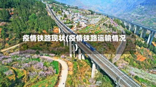 疫情铁路现状(疫情铁路运输情况)-第3张图片