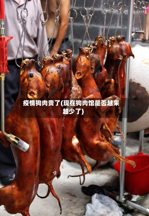 疫情狗肉贵了(现在狗肉馆是否越来越少了)-第2张图片