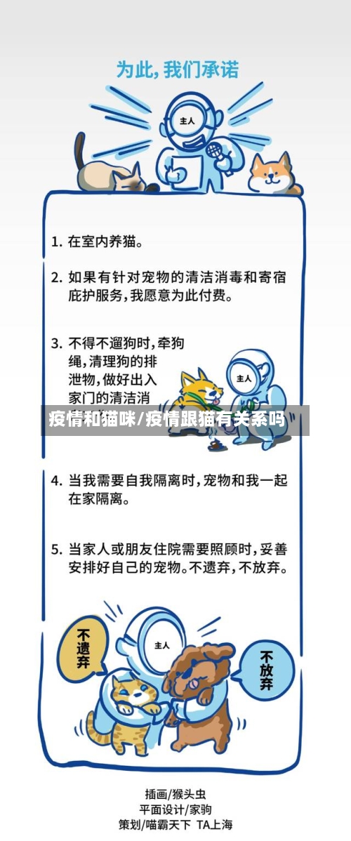 疫情和猫咪/疫情跟猫有关系吗-第2张图片