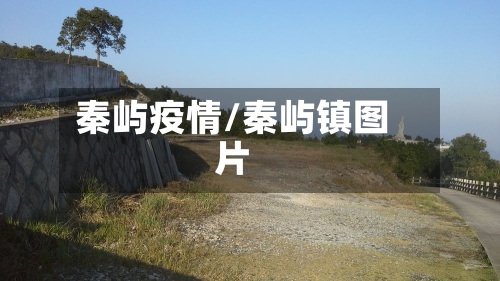 秦屿疫情/秦屿镇图片-第1张图片