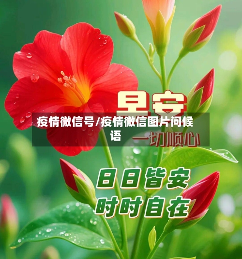 疫情微信号/疫情微信图片问候语-第2张图片