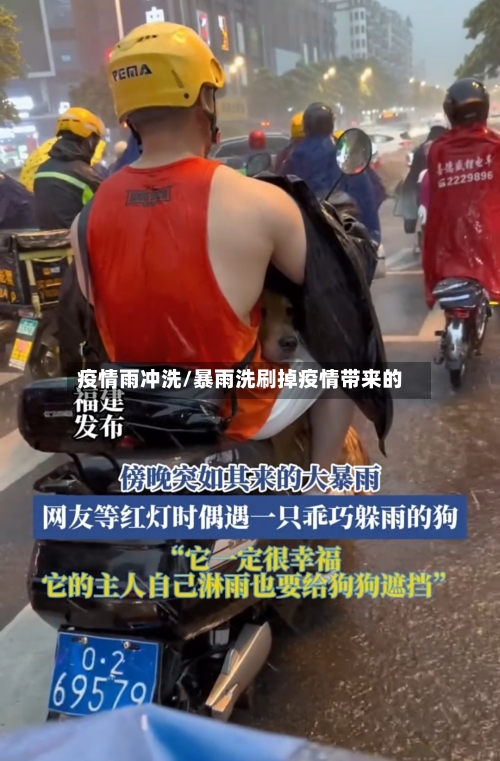 疫情雨冲洗/暴雨洗刷掉疫情带来的-第3张图片