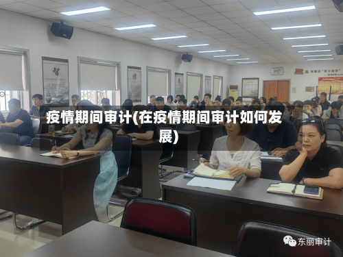 疫情期间审计(在疫情期间审计如何发展)-第2张图片
