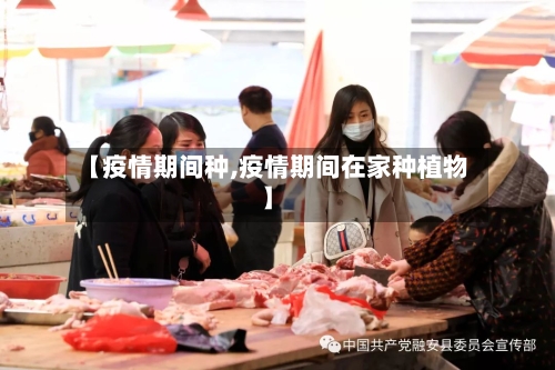 【疫情期间种,疫情期间在家种植物】-第2张图片