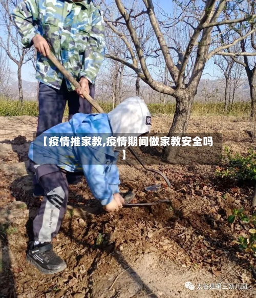 【疫情推家教,疫情期间做家教安全吗】-第1张图片