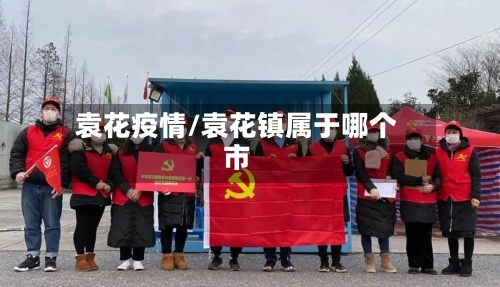 袁花疫情/袁花镇属于哪个市-第2张图片