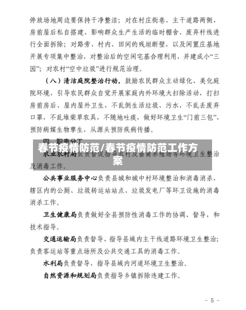 春节疫情防范/春节疫情防范工作方案-第3张图片