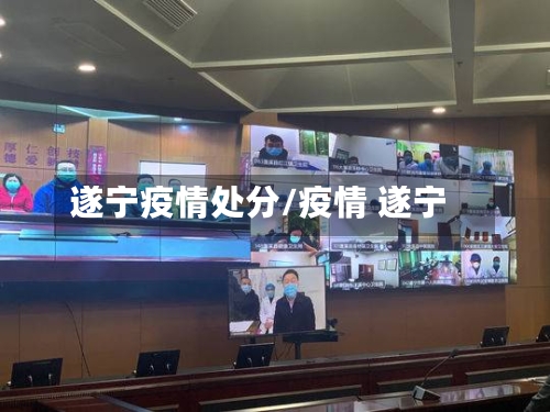 遂宁疫情处分/疫情 遂宁-第2张图片