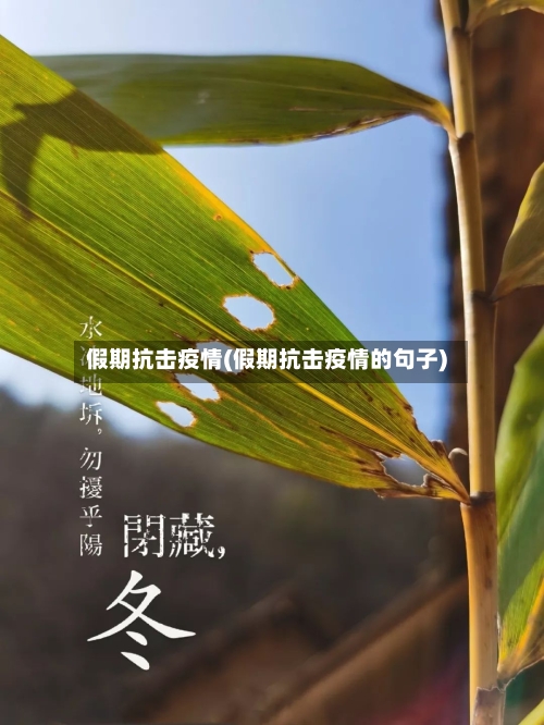 假期抗击疫情(假期抗击疫情的句子)-第3张图片