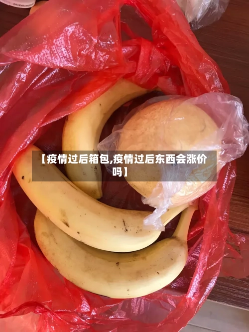 【疫情过后箱包,疫情过后东西会涨价吗】-第3张图片