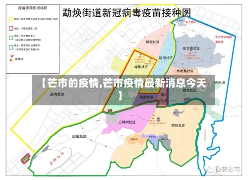 【芒市的疫情,芒市疫情最新消息今天】-第3张图片