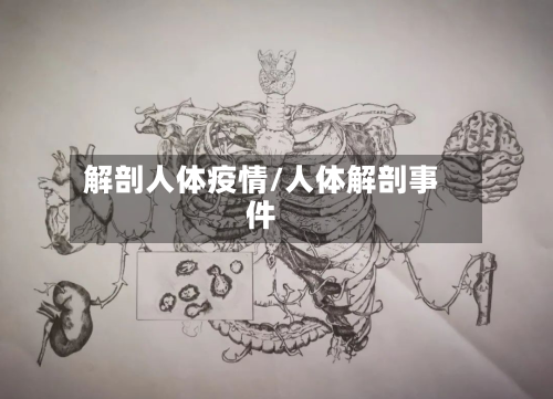 解剖人体疫情/人体解剖事件-第2张图片