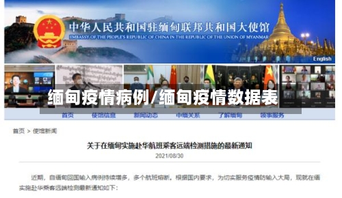 缅甸疫情病例/缅甸疫情数据表-第2张图片