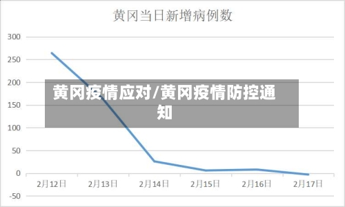 黄冈疫情应对/黄冈疫情防控通知-第3张图片