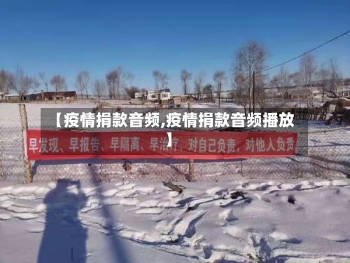 【疫情捐款音频,疫情捐款音频播放】-第2张图片
