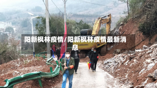阳新枫林疫情/阳新枫林疫情最新消息-第2张图片