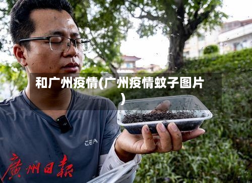 和广州疫情(广州疫情蚊子图片)-第3张图片