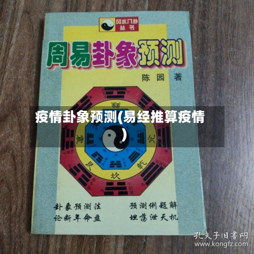 疫情卦象预测(易经推算疫情)-第3张图片