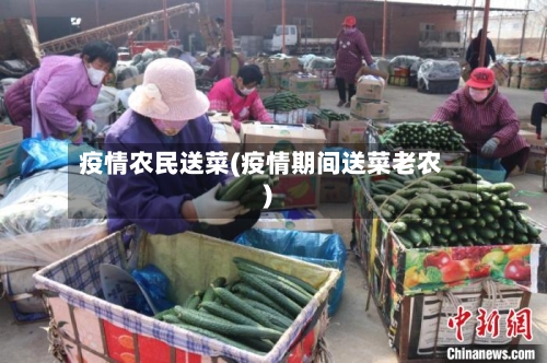 疫情农民送菜(疫情期间送菜老农)-第2张图片