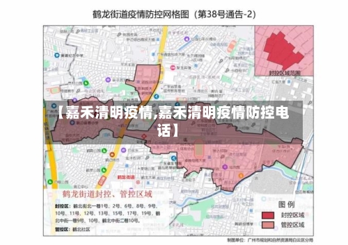 【嘉禾清明疫情,嘉禾清明疫情防控电话】-第3张图片