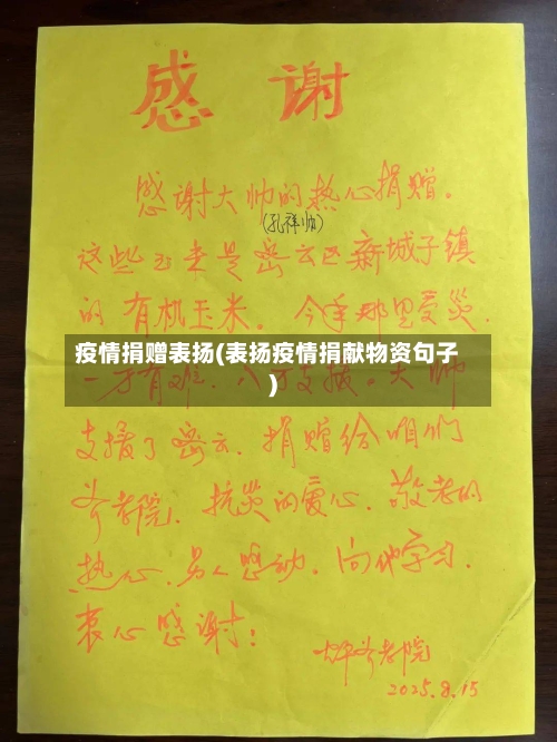 疫情捐赠表扬(表扬疫情捐献物资句子)-第2张图片