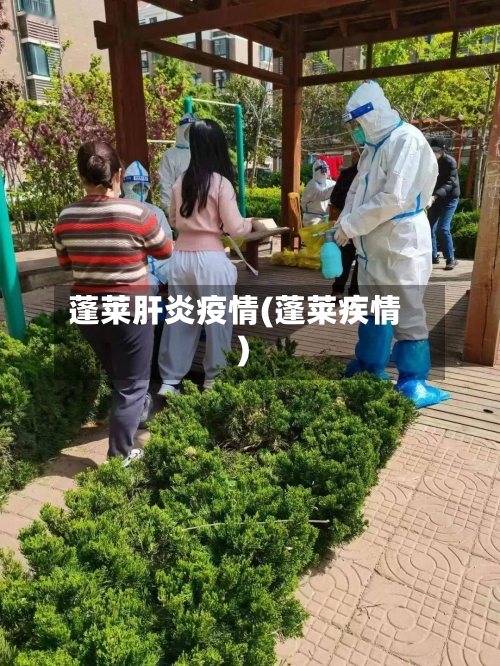 蓬莱肝炎疫情(蓬莱疾情)-第2张图片