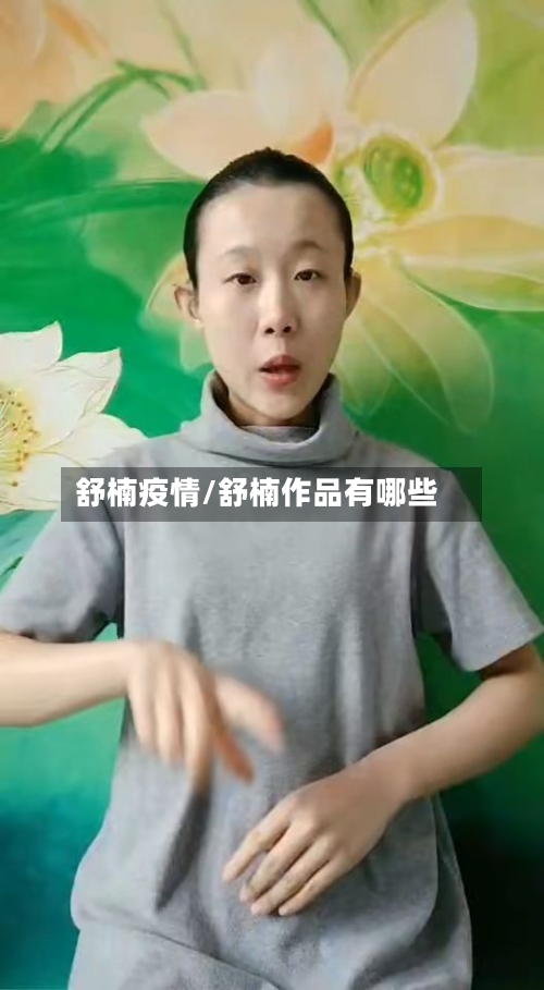 舒楠疫情/舒楠作品有哪些-第1张图片