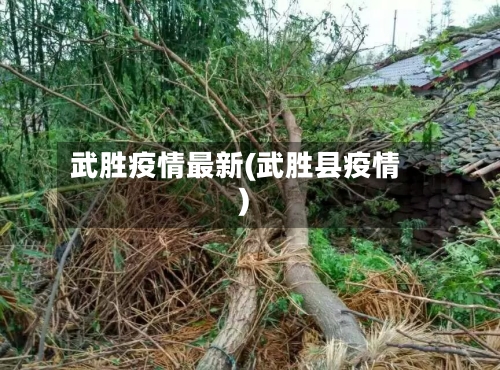 武胜疫情最新(武胜县疫情)-第1张图片