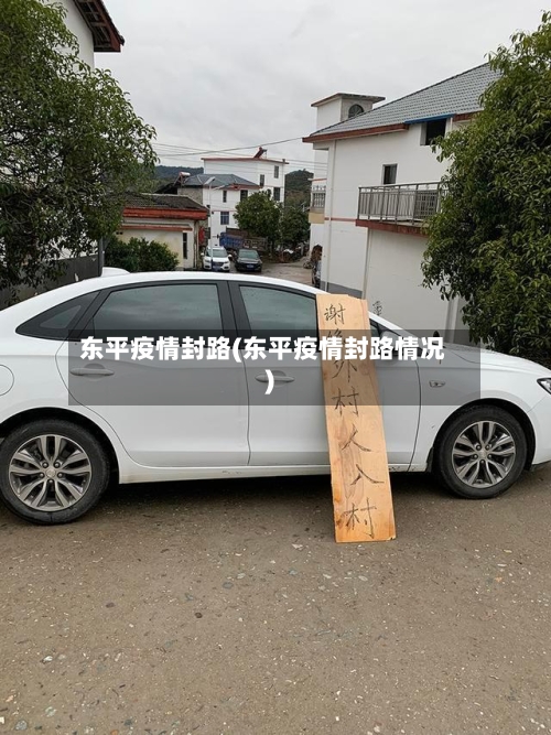 东平疫情封路(东平疫情封路情况)-第2张图片