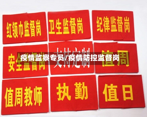 疫情监察专员/疫情防控监督岗-第3张图片