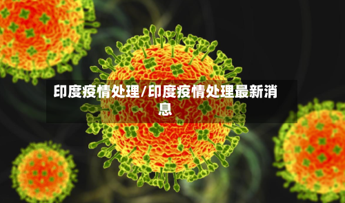 印度疫情处理/印度疫情处理最新消息-第3张图片