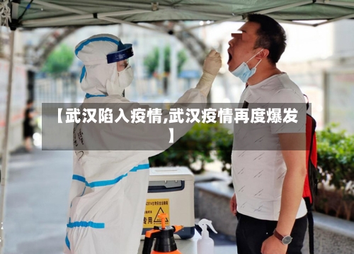 【武汉陷入疫情,武汉疫情再度爆发】-第2张图片