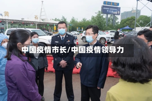 中国疫情市长/中国疫情领导力-第2张图片