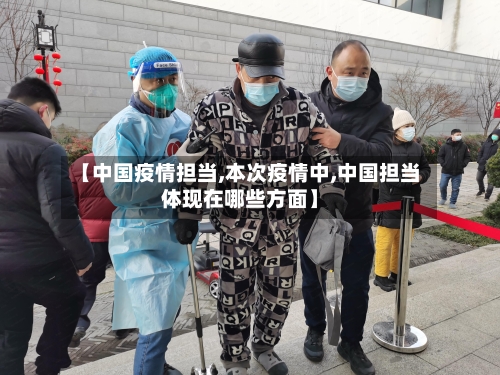 【中国疫情担当,本次疫情中,中国担当体现在哪些方面】-第3张图片