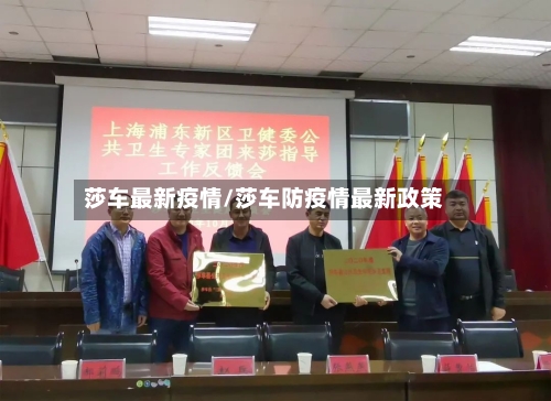 莎车最新疫情/莎车防疫情最新政策-第2张图片