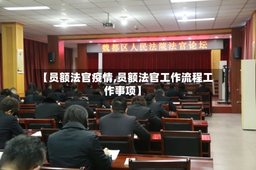 【员额法官疫情,员额法官工作流程工作事项】-第3张图片