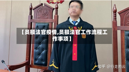 【员额法官疫情,员额法官工作流程工作事项】-第2张图片