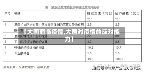 【大国面临疫情,大国对疫情的应对能力】-第2张图片