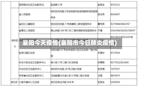 襄阳今天疫情(襄阳市今日肺炎疫情)-第1张图片