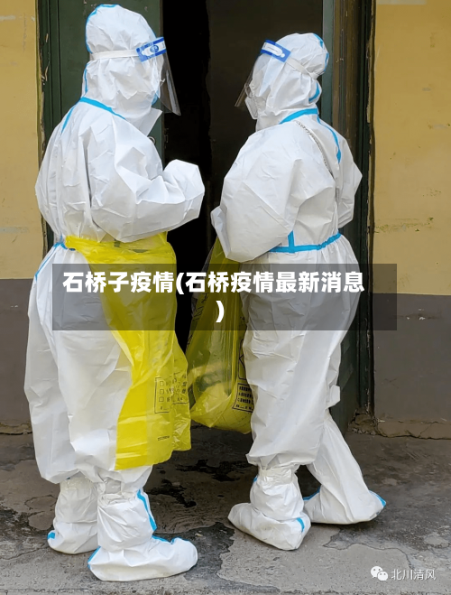 石桥子疫情(石桥疫情最新消息)-第3张图片