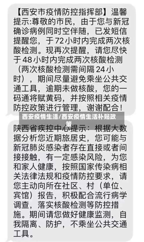 西安疫情生活/西安疫情生活补贴政策-第3张图片