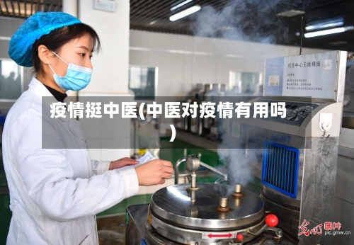 疫情挺中医(中医对疫情有用吗)-第2张图片