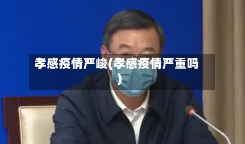孝感疫情严峻(孝感疫情严重吗)-第2张图片